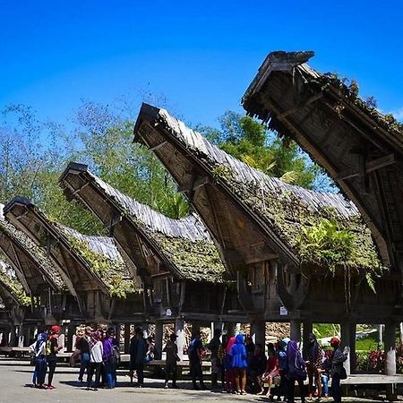 Wisma Papa Tia Toraja Tana Toraja Εξωτερικό φωτογραφία
