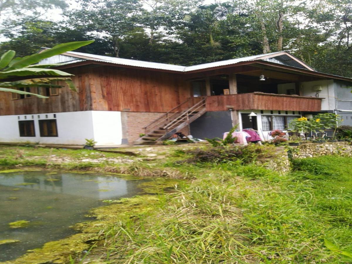 Wisma Papa Tia Toraja Tana Toraja Εξωτερικό φωτογραφία