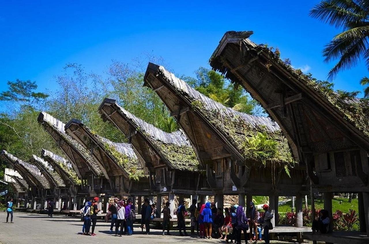 Wisma Papa Tia Toraja Tana Toraja Εξωτερικό φωτογραφία